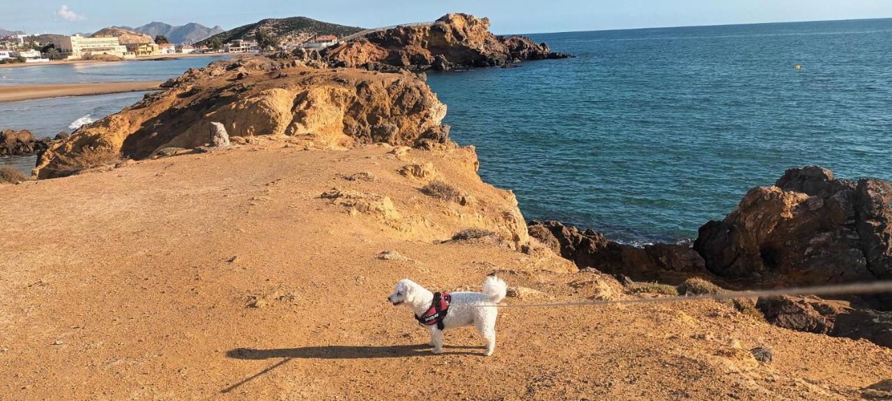 فيلا Sunrise Den, A Pie De Playa, Vista Al Mar Y Piscina El Puerto de Mazarrón المظهر الخارجي الصورة