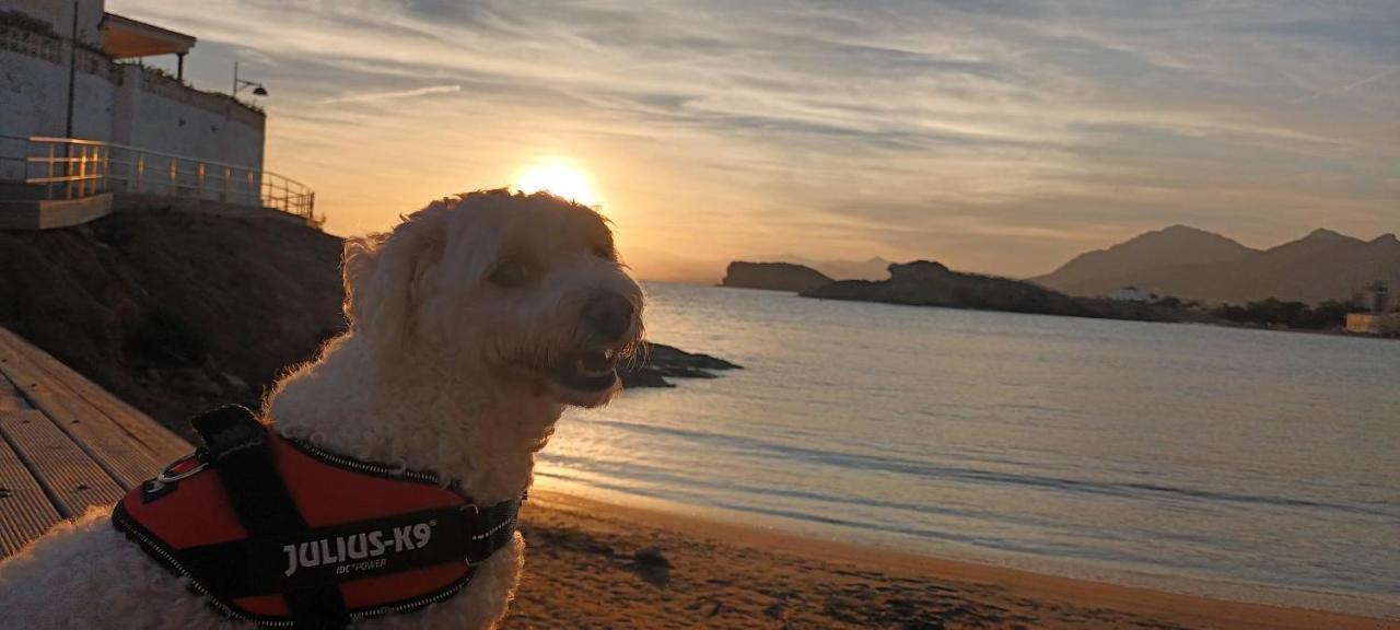 فيلا Sunrise Den, A Pie De Playa, Vista Al Mar Y Piscina El Puerto de Mazarrón المظهر الخارجي الصورة